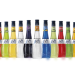 Bols portfolio of bottles