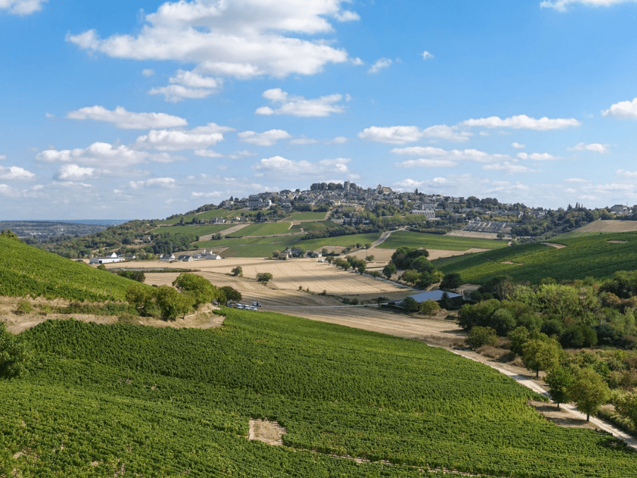Vineyards in Sancerre, France
