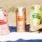 Absolut RTDs three flavours in cans