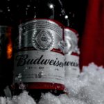 Budweiser bottle on ice