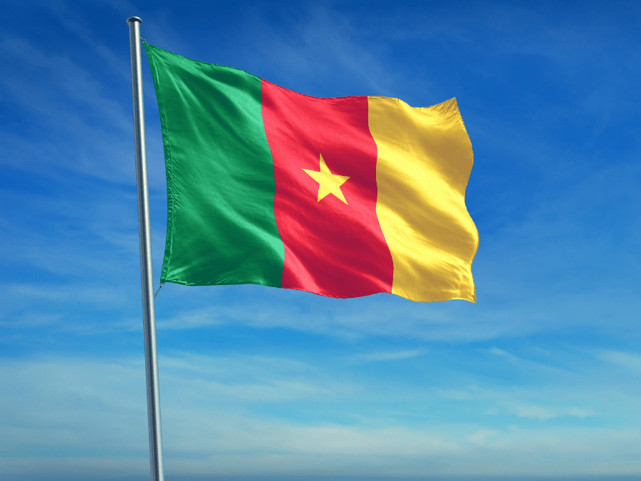 Cameroon flag