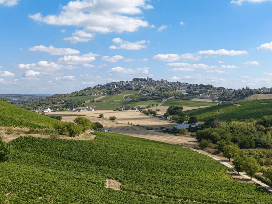 Vineyards in Sancerre, France