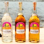 Tequila Eterno Verano portfolio