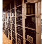Port bottles on shelves in a cellar