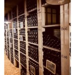 Port bottles on shelves in a cellar