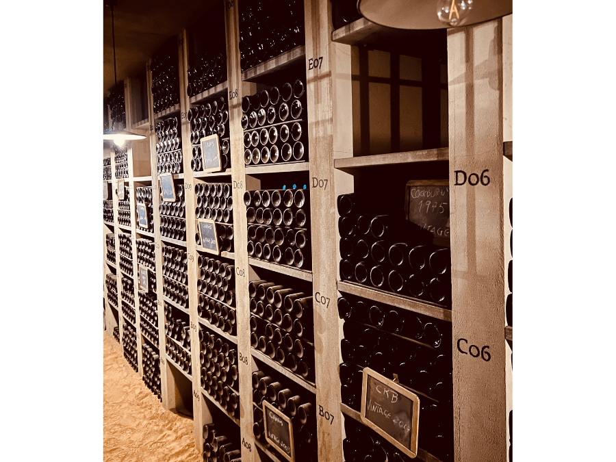 Port bottles on shelves in a cellar