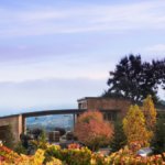 Denner Winery in Paso Robles, California