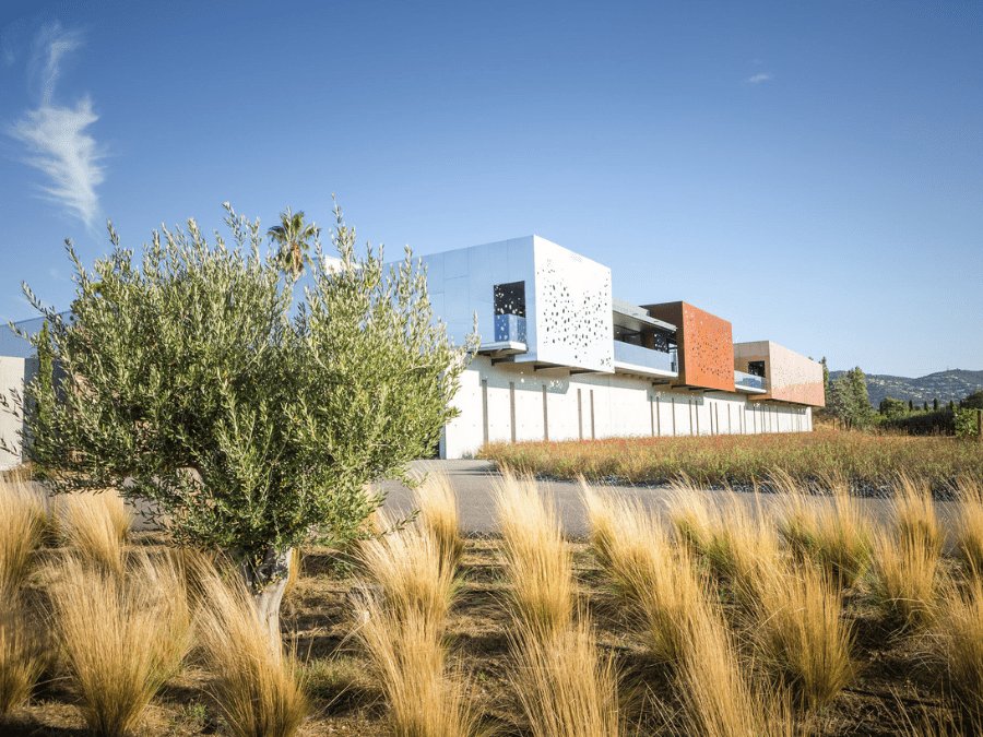 Sainte Marguerite winery in La Londe