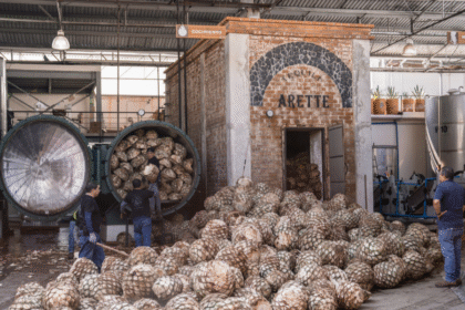 Tequila Arette distillery interior