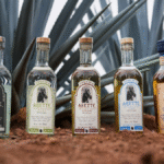 Tequila Arette portfolio