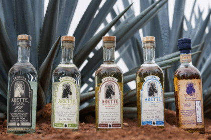 Tequila Arette portfolio