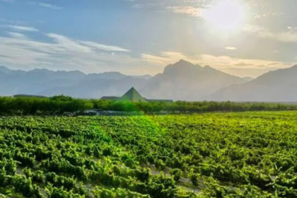 Winery in Helan Mountain's East Foothill wine region in China