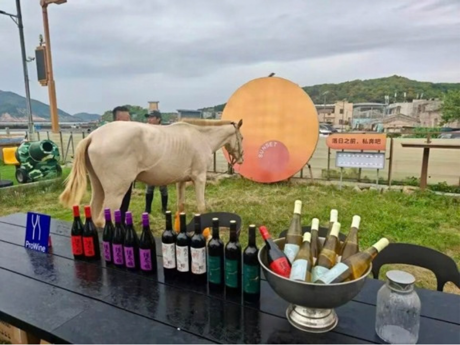 A ProWine city roadshow in China
