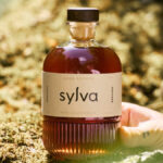 Pollen Projects Sylva