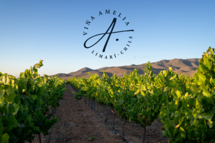 Vina Amelia vineyards with logo