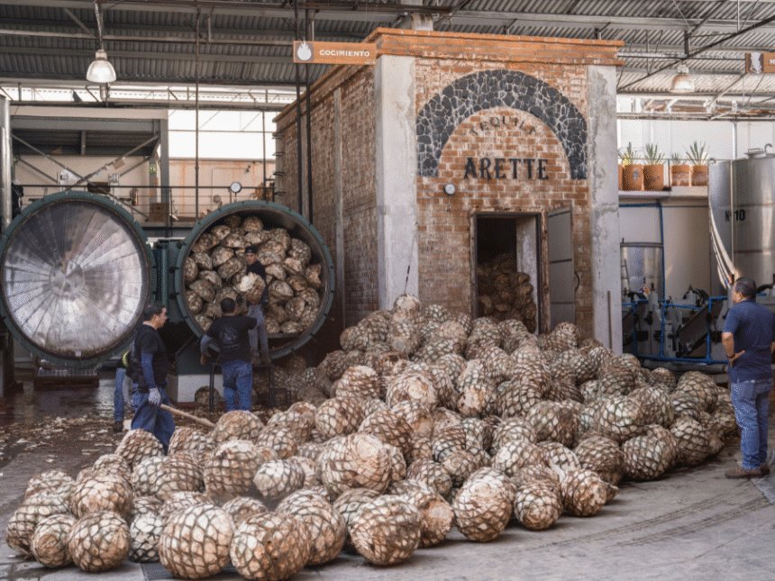 Tequila Arette distillery interior