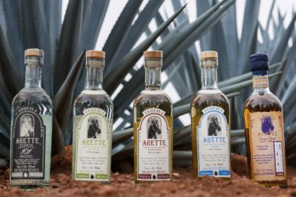 Tequila Arette portfolio