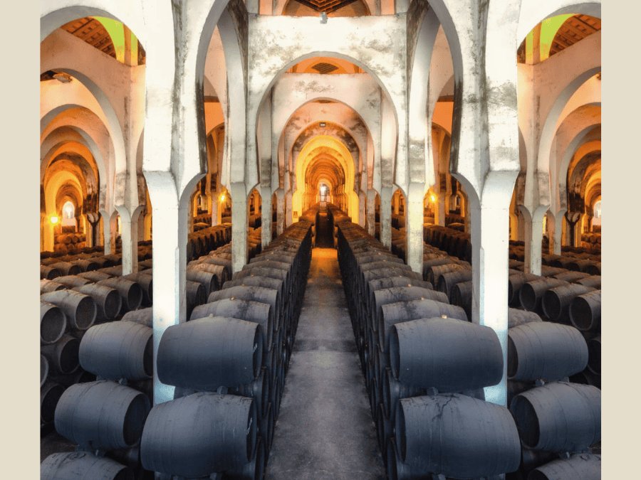 Bodegas Fundador interior