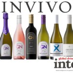 Invivo logo and brand line-up