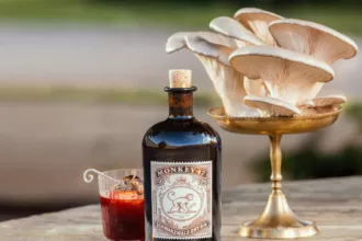 Monkey 47 Distiller’s Cut 2026 bottle