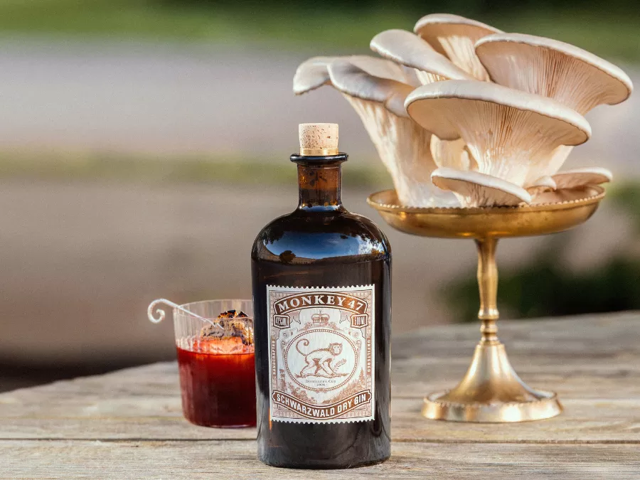 Monkey 47 Distiller’s Cut 2026 bottle