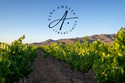 Vina Amelia vineyards with logo