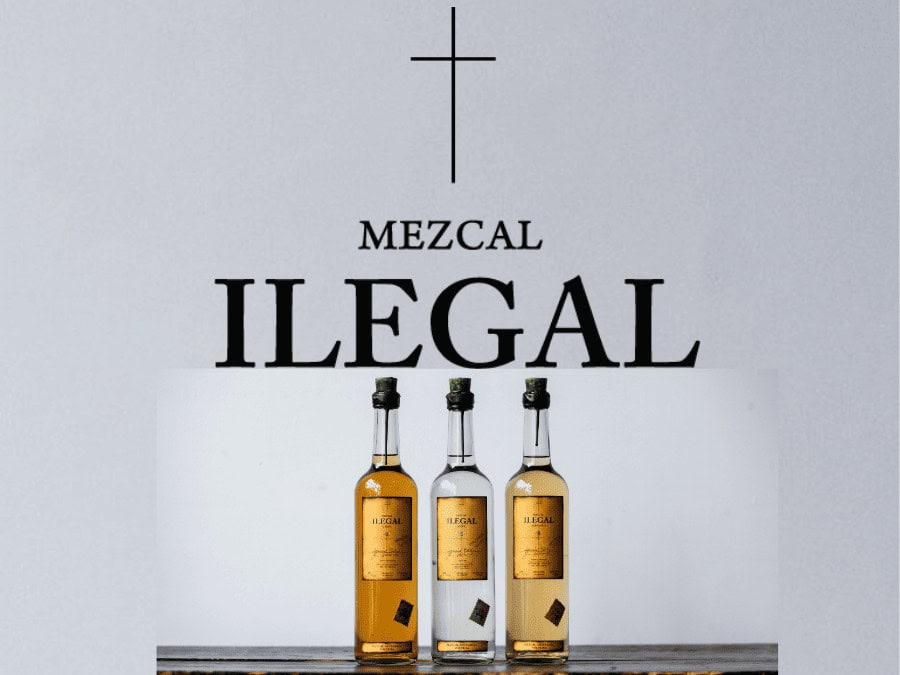 Ilegal Mezcal logo and portfolio 2023