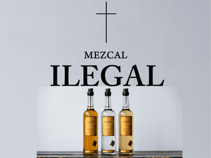 Ilegal Mezcal logo and portfolio 2023