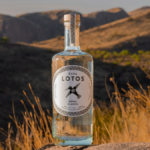Bottle of Casa Lotos Sotol Blanco