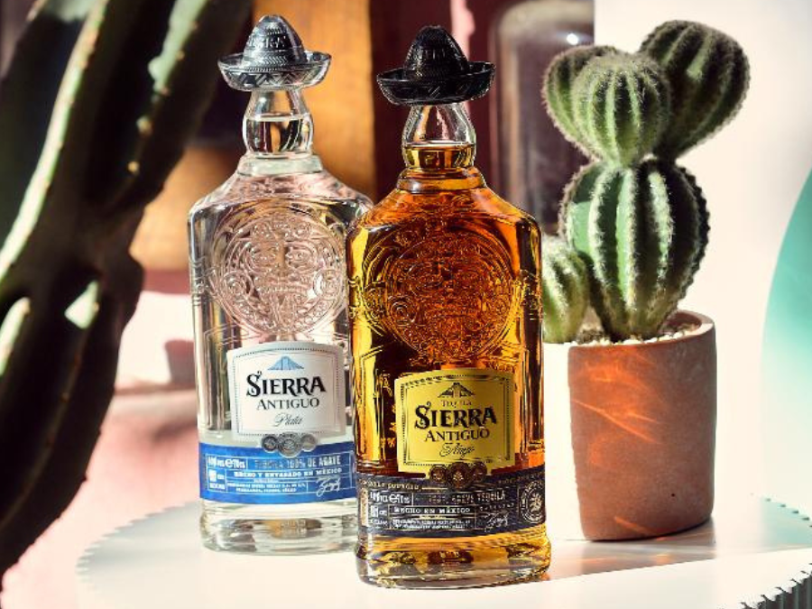 Bottles of Sierra Antiguo tequila