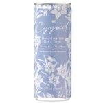 Can of Cygnet Welsh Dry Gin and Tonic