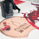 Logo for ProWein 2024