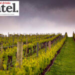 Jansz vineyards in Tasmania