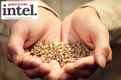 A handful of grain