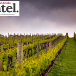 Jansz vineyards in Tasmania
