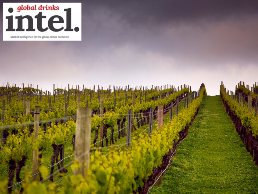 Jansz vineyards in Tasmania