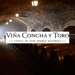 Concha y Toro logo and wine cellar
