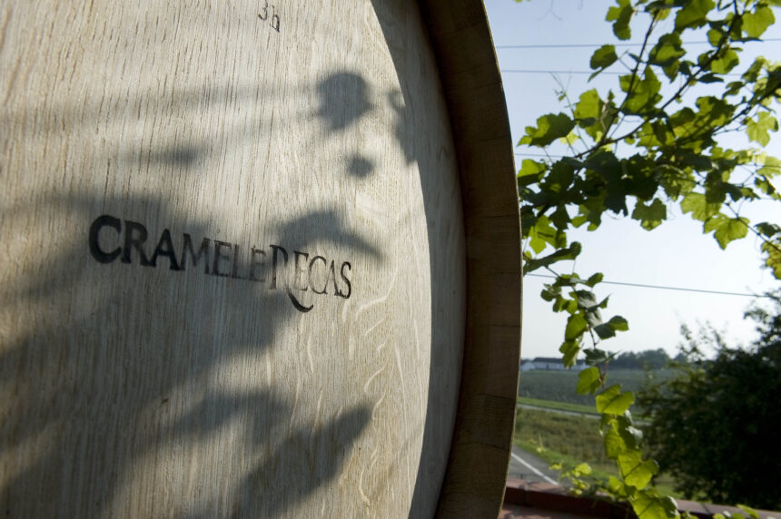 Cramele Recas logo on a wine barrel