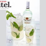 Bottle of Bacardi rum with a long serve