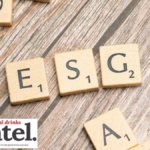 The letters 'E', 'S' and 'G' on Scrabble tiles
