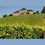 View of Henkell Freixenet's Schloss Johannisberg