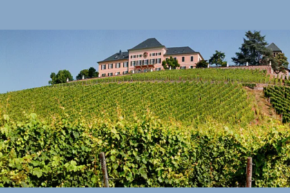 View of Henkell Freixenet's Schloss Johannisberg