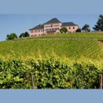 View of Henkell Freixenet's Schloss Johannisberg