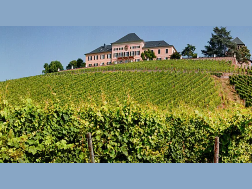View of Henkell Freixenet's Schloss Johannisberg
