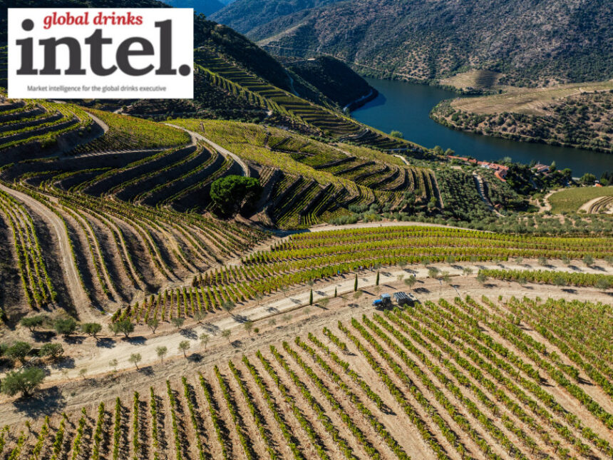 View of vineyards at Taylors, Quinta de Vargellas Douro