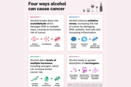 Graphic detailing four ways that alcohol can cause cancer