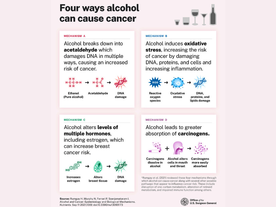 Graphic detailing four ways that alcohol can cause cancer