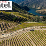 View of vineyards at Taylors, Quinta de Vargellas Douro