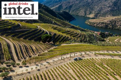 View of vineyards at Taylors, Quinta de Vargellas Douro