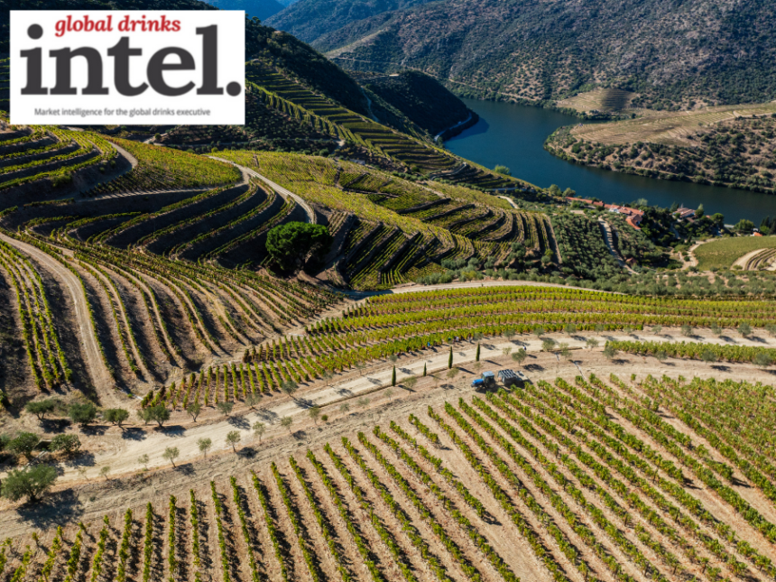 View of vineyards at Taylors, Quinta de Vargellas Douro